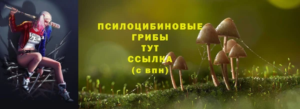 прущая мука Осинники