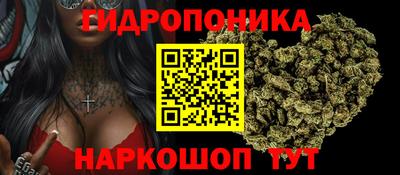 spice Балашиха