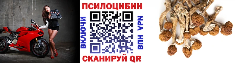 Галлюциногенные грибы ЛСД  Верхняя Салда 
