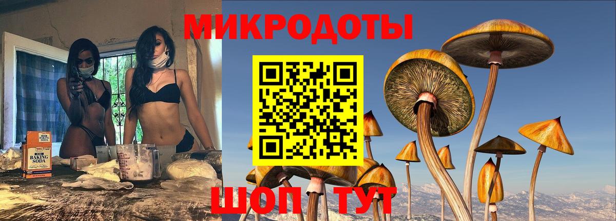 Псилоцибиновые грибы прущие грибы  Псилоцибиновые грибы GOLDEN TEACHER  где купить   Верхняя Салда 