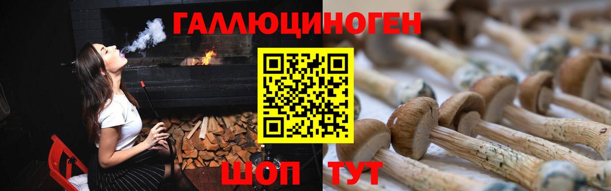 Галлюциногенные грибы Psilocybe Верхняя Салда