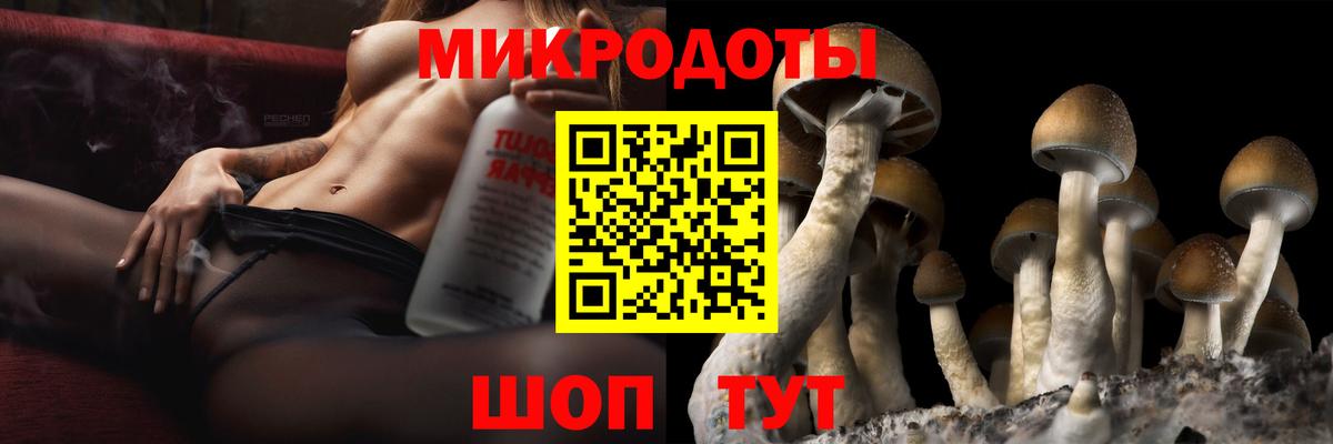 Галлюциногенные грибы ЛСД  Вход с VPN  Галлюциногенные грибы мухоморы  Верхняя Салда 
